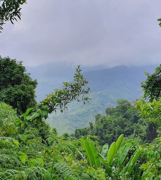 Un nuevo diálogo entre actores de gobiernos colombianos para fortalecer la conservación ambiental en el país