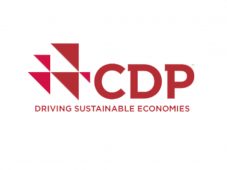 Webinar “Introdução para a plataforma de reporte CDP-ICLEI para cidades”