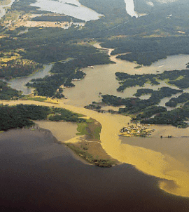 Cómo impulsar una economía verde e inclusiva en la Amazonía