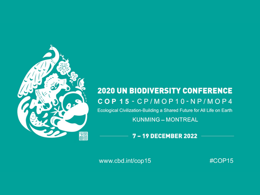UN Biodiversity Conference – COP 15
