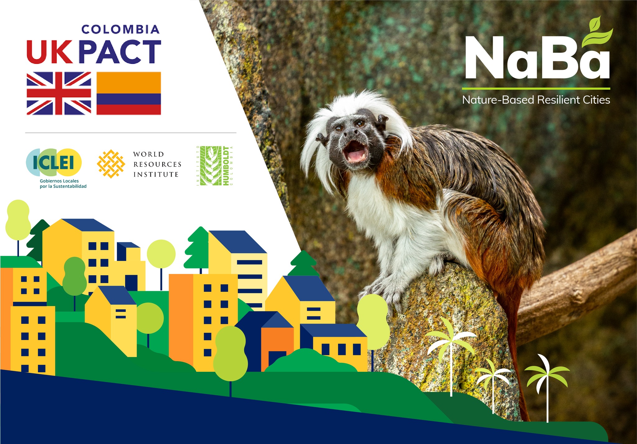 Six Colombian cities attended in-person workshops for the NaBa project.