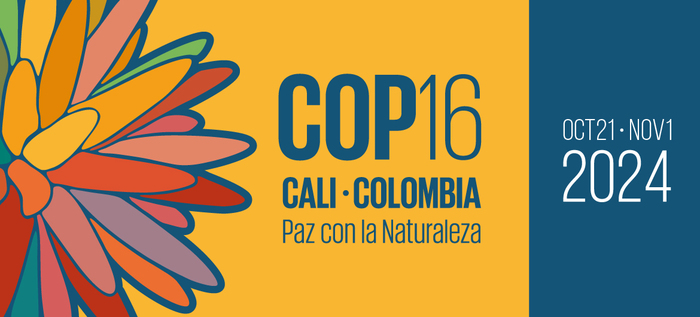 ICLEI anuncia la 8ª Cumbre para Gobiernos Subnacionales y Ciudades en la COP16 de Biodiversidad